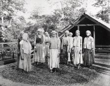 Group of women workers standing outside a cocoa drying house, 1897