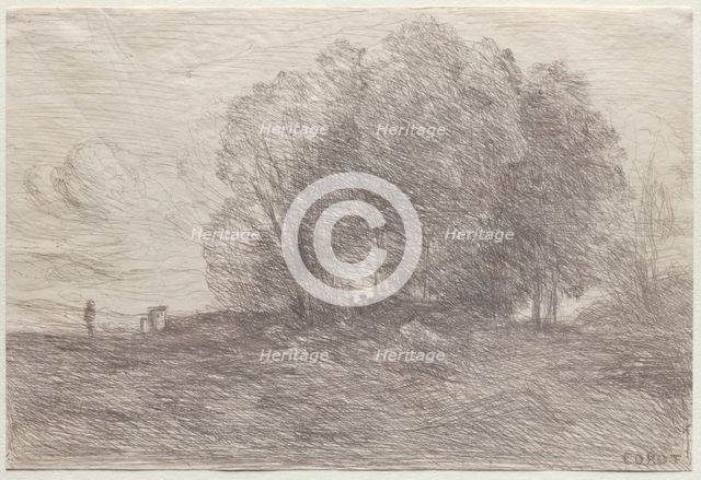 Group of Trees, 1858. Creator: Jean Baptiste Camille Corot (French, 1796-1875).