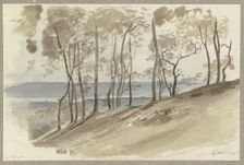 Group of trees on a slope near Hallgarten, the Rhine and a ridge in the background, 1845. Creator: Carl Theodor Reiffenstein