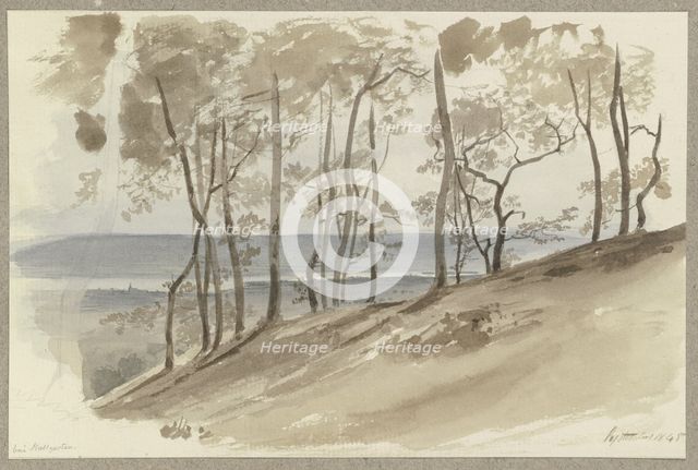 Group of trees on a slope near Hallgarten, the Rhine and a ridge in the background, 1845. Creator: Carl Theodor Reiffenstein.