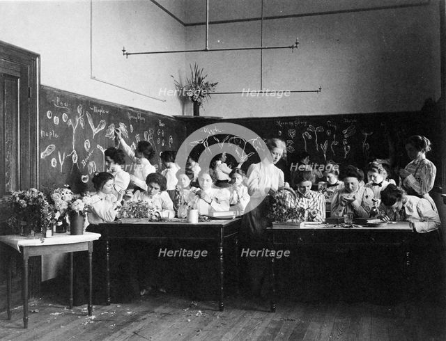 Group of young women studying plants in normal school, Washington, D.C., (1899?). Creator: Frances Benjamin Johnston.
