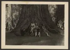 Group Portrait at Base of Tree, 1907-1943. Creator: Louis Fleckenstein