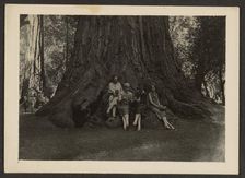 Group Portrait at Base of Tree, 1907-1943. Creator: Louis Fleckenstein