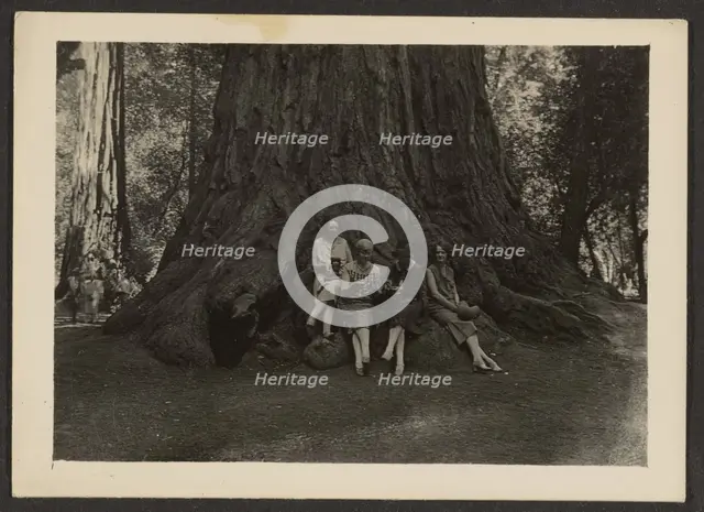 Group Portrait at Base of Tree, 1907-1943. Creator: Louis Fleckenstein.