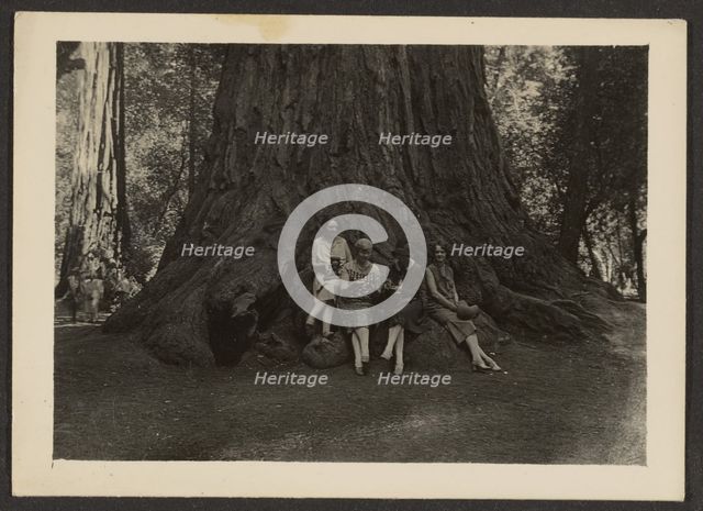 Group Portrait at Base of Tree, 1907-1943. Creator: Louis Fleckenstein.