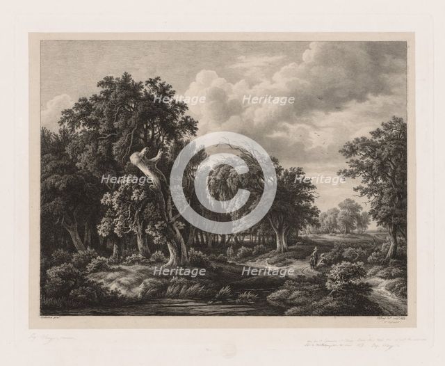 Groups of Various Plants Drawn After Nature: No. 7, 1855. Creator: Eugene Bléry (French, 1805-1886).