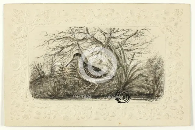 Grouse, n.d. Creator: Henry LeJeune.