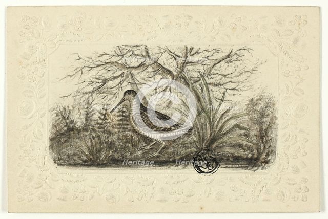 Grouse, n.d. Creator: Henry LeJeune.