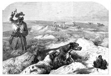 Grouse-shooting - from a drawing by Harrison Weir, 1860. Creator: Unknown