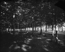 Grove, Bay View, Mich., The, between 1890 and 1905. Creator: Unknown