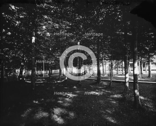 Grove, Bay View, Mich., The, between 1890 and 1905. Creator: Unknown.