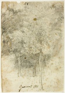 Grove of Trees, 1600/12. Creator: Federico Barocci