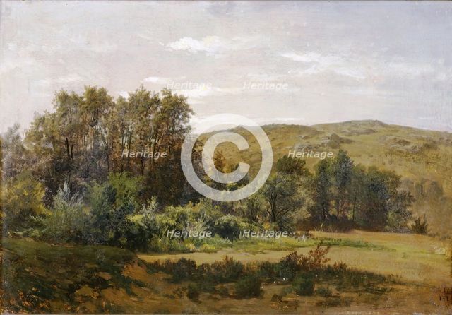 Grove near the Piedra Monastery, c1856. Creator: Carlos de Haes.