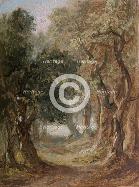 Grove [undated]. Creator: Lines Family.