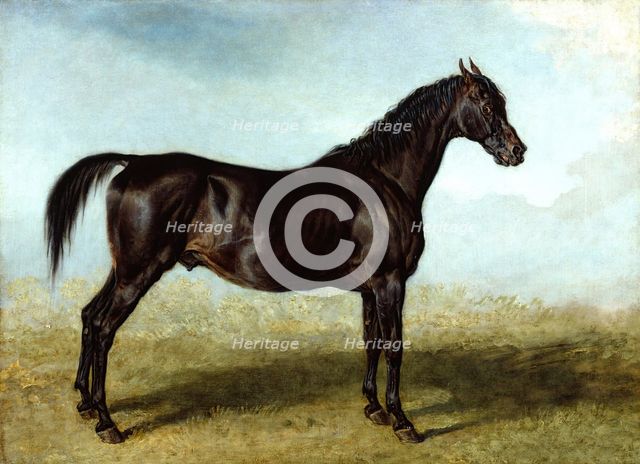 Guy Mannering: A Race Horse, c1822. Creator: James Ward.