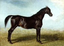 Guy Mannering: A Race Horse, c1822. Creator: James Ward