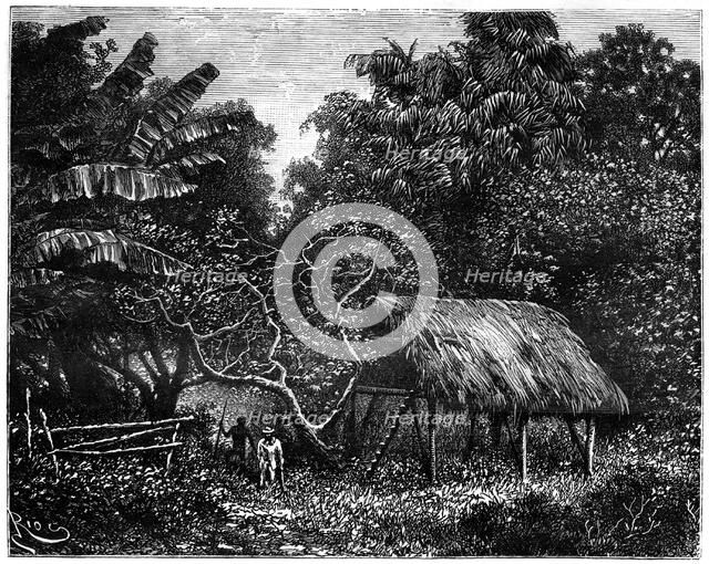 Guyana, South America, 19th century. Artist: Edouard Riou