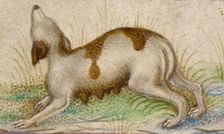 Gualenghi-d'Este Hours, about 1469. Creator: Taddeo Crivelli