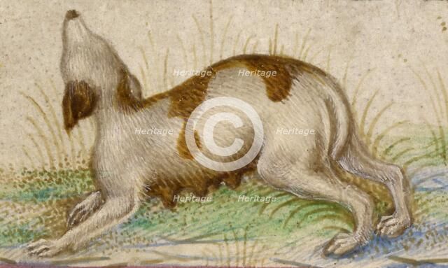 Gualenghi-d'Este Hours, about 1469. Creator: Taddeo Crivelli.