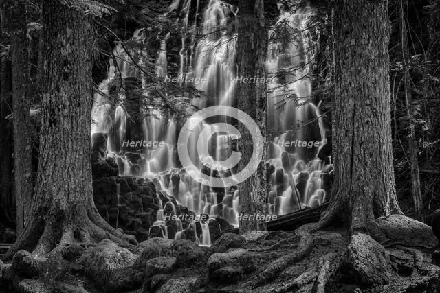 Guarded Dreams. Creator: Joshua Johnston.