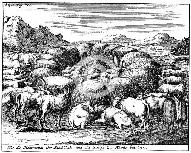 Guarding sheep and cattle at night, South Africa, 18th century (1931). Artist: Unknown