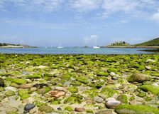 Gugh, St Agnes, Isles of Scilly, 2009. Creator: Mike Hesketh-Roberts