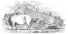 Gujerat Village-Cart, 1850. Creator: Unknown