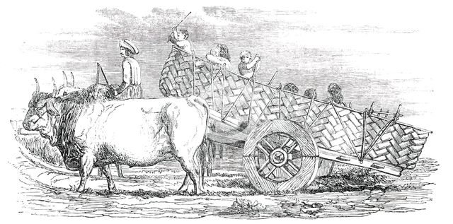 Gujerat Village-Cart, 1850. Creator: Unknown.