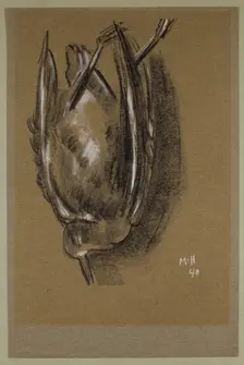 Gull, c1940. Creator: Marsden Hartley