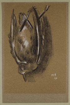 Gull, c1940. Creator: Marsden Hartley