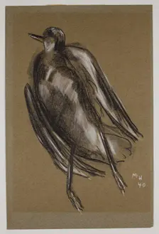 Gull, c1940. Creator: Marsden Hartley