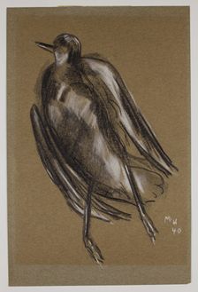 Gull, c1940. Creator: Marsden Hartley