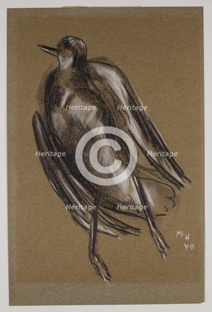Gull, c1940. Creator: Marsden Hartley.