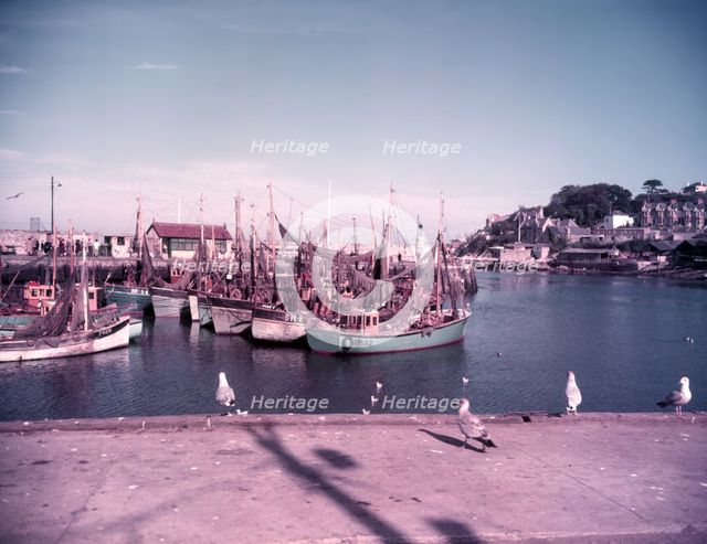 Gulls and boats in Brixham Harbour, Devon, c1955. Creator: Arthur Charles Kirby Ware.