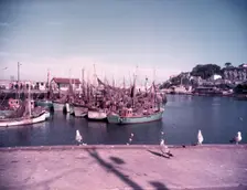 Gulls and boats in Brixham Harbour, Devon, c1955. Creator: Arthur Charles Kirby Ware