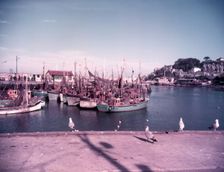Gulls and boats in Brixham Harbour, Devon, c1955. Creator: Arthur Charles Kirby Ware