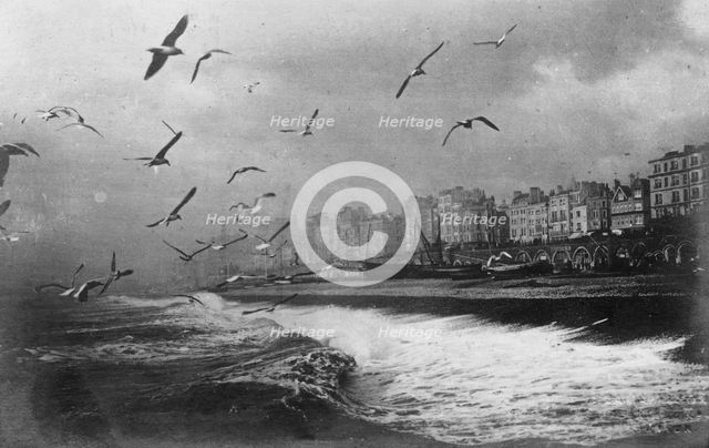 Gulls at Brighton, East Sussex, early 20th century. Artist: Unknown