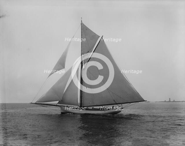 Gulnare, 1892 June 14. Creator: John S Johnston.