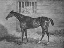 Gulnare 19th century, (1911)