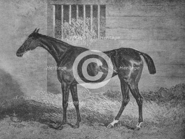 'Gulnare', 19th century, (1911). Artist: Unknown.