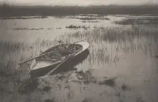 Gunner Working Up To Fowl, 1886. Creator: Dr Peter Henry Emerson