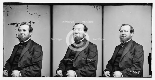 Gunther, Chas. Godfrey, Mayor of N.Y. in 1863, ca. 1860-1865. Creator: Unknown.