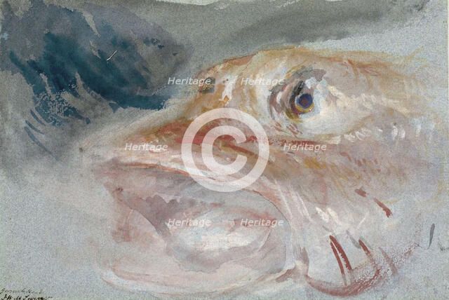 Gurnet's Head, n.d. Creator: Unknown.