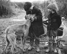Gypsy boys with dog, Surrey, 1960s