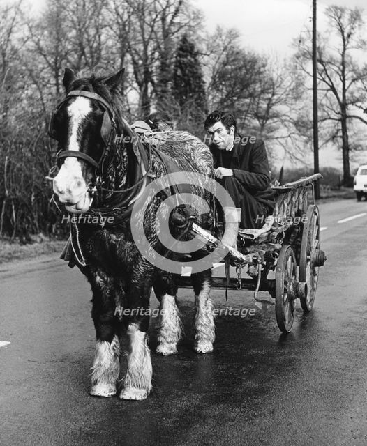 Gypsy man with horse and cart, 1960s.