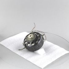 Gyro, German. Creator: Unknown