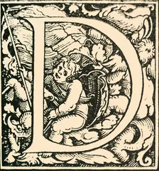 D - An Alphabet by Hans Weiditz c1520-1521, (1908). Creator: Hans Weiditz