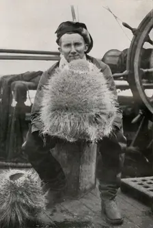 D. G. Lillie, with Some of the Siliceous Sponges c1911, (1913). Artist: Herbert Ponting