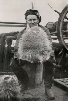 D. G. Lillie, with Some of the Siliceous Sponges c1911, (1913). Artist: Herbert Ponting