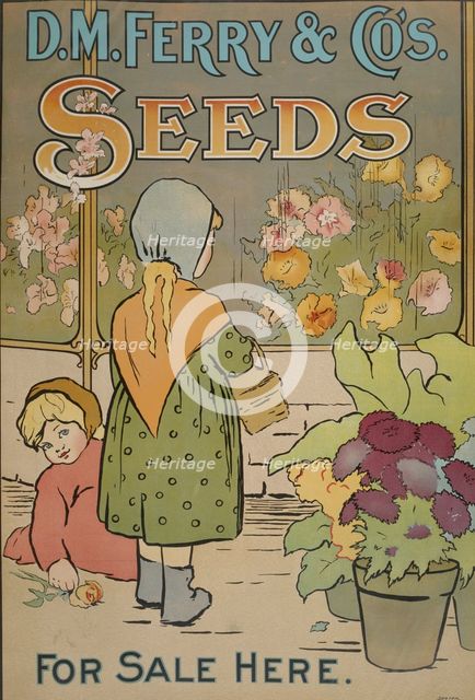 D. M. Ferry & Co's. seeds, c1895 - 1917. Creator: Unknown.